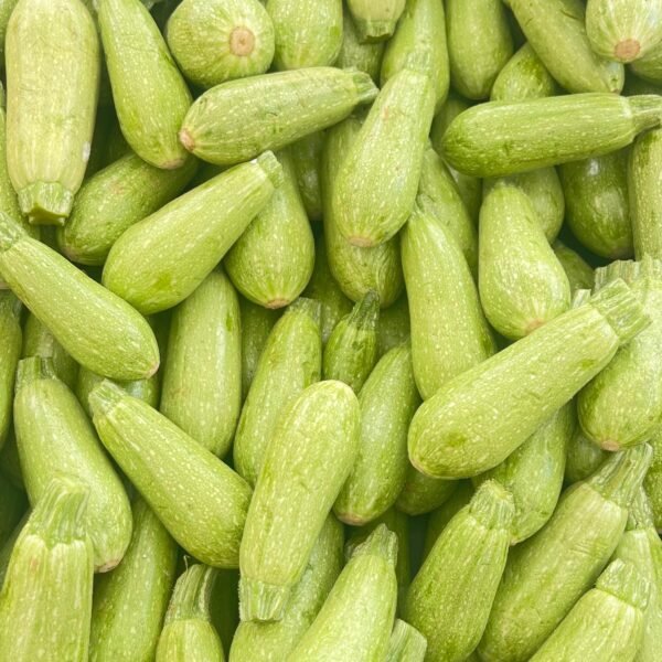 Zucchini